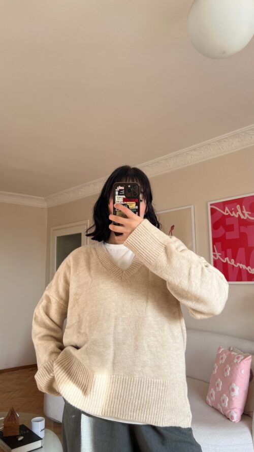 IMG_4954 The V Beige Sweater