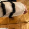 Halsey Sweater