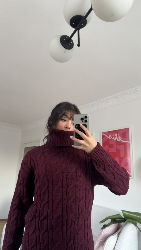 Snoozy Burgundy Turtle Neck Sweater